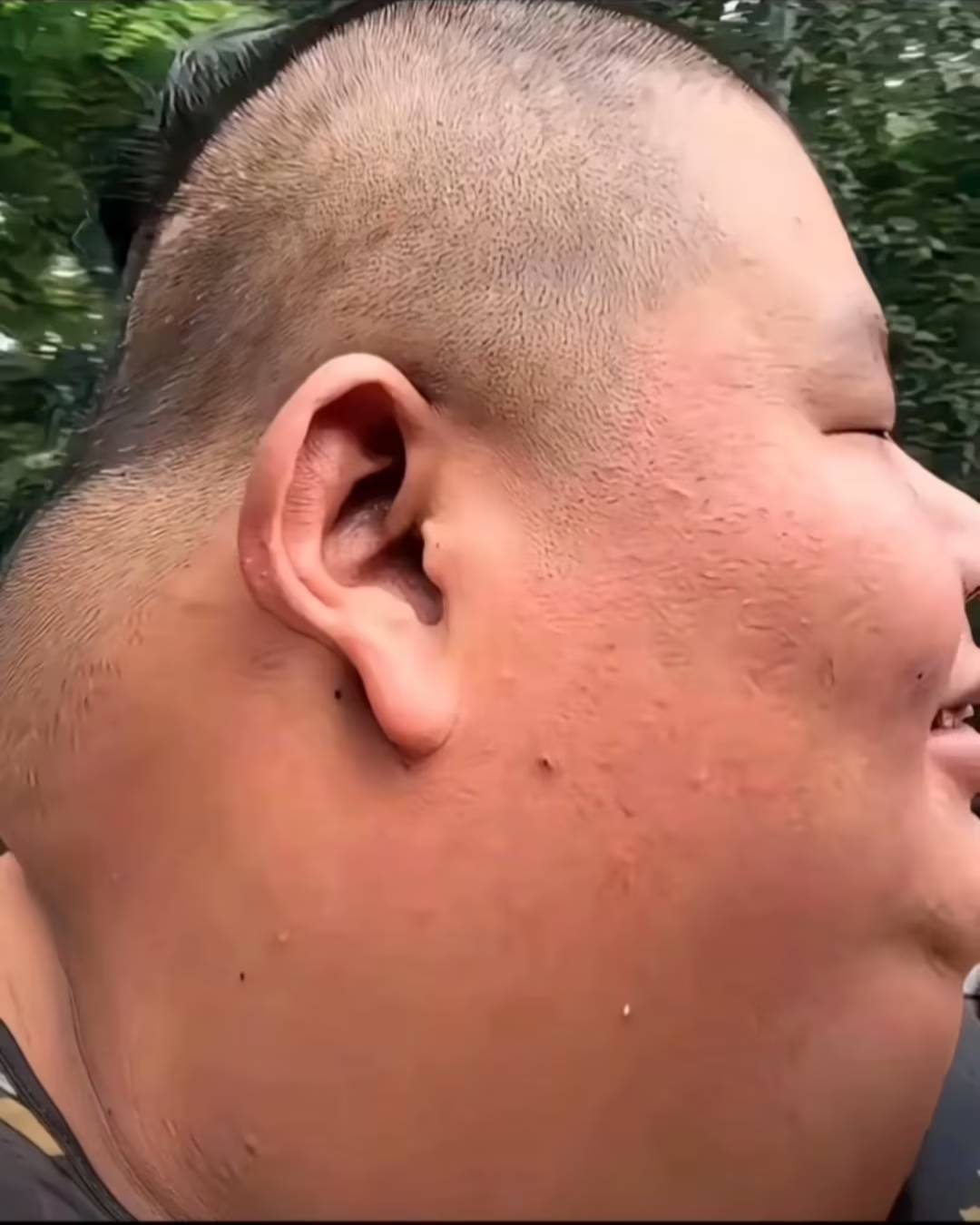 老祖我竟然晋级真菌了，万修来朝吧

24 / 作者:塔尼亚75 / 