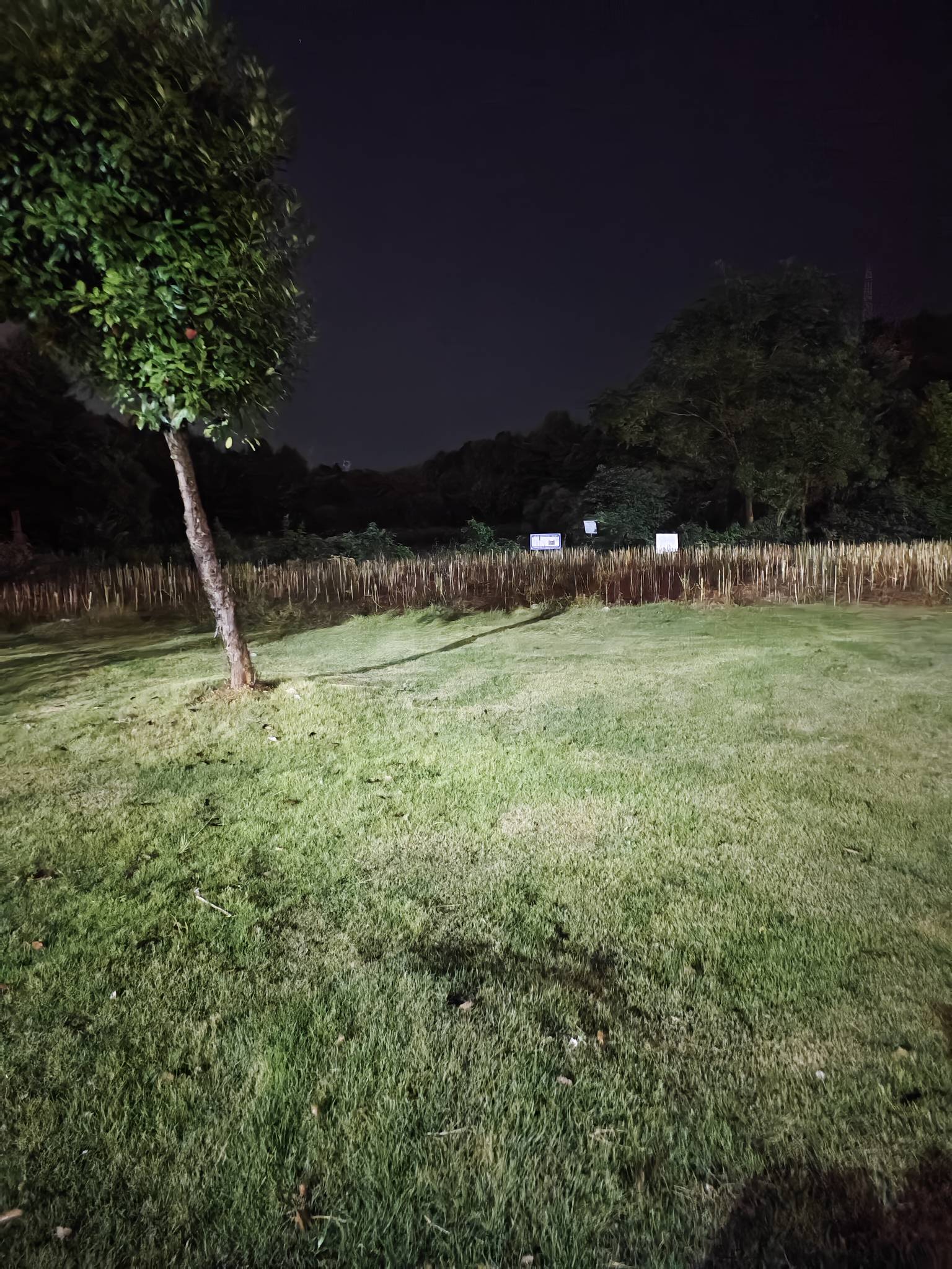 瘫痪公园俄晕了，晕倒了几天没来卡农了，刚整了瓶快乐水苏醒过来，挂壁仔们都在鲁啥毛89 / 作者:红菜苔 / 