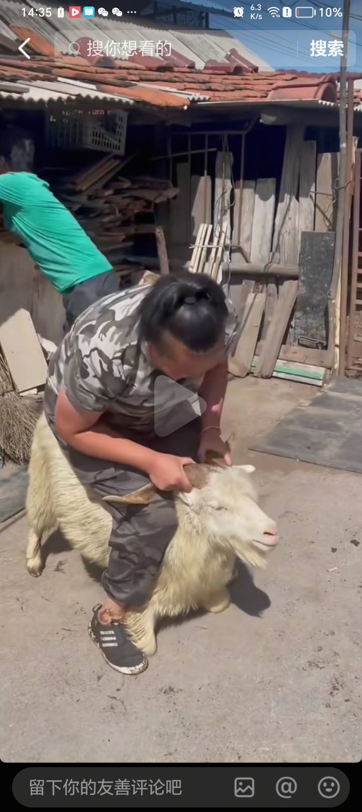 现在还有啵啵沉浸在羊毛盛世的梦境中走不出来吗，进厂才是挂壁的第一选择，已经进厂两97 / 作者:鲸鲨 / 