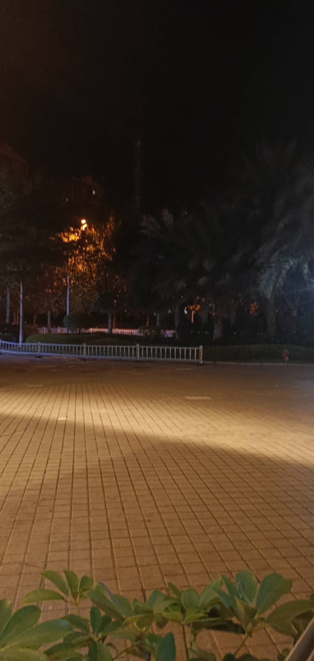气死我了老哥们

28 / 作者:hf1600 / 