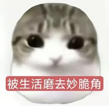 没救了老哥们，在螺丝厂被一伙湖南人莫名其妙排挤走，工资发了以后交完房租就不剩一分71 / 作者:天下为公-马列毛 / 