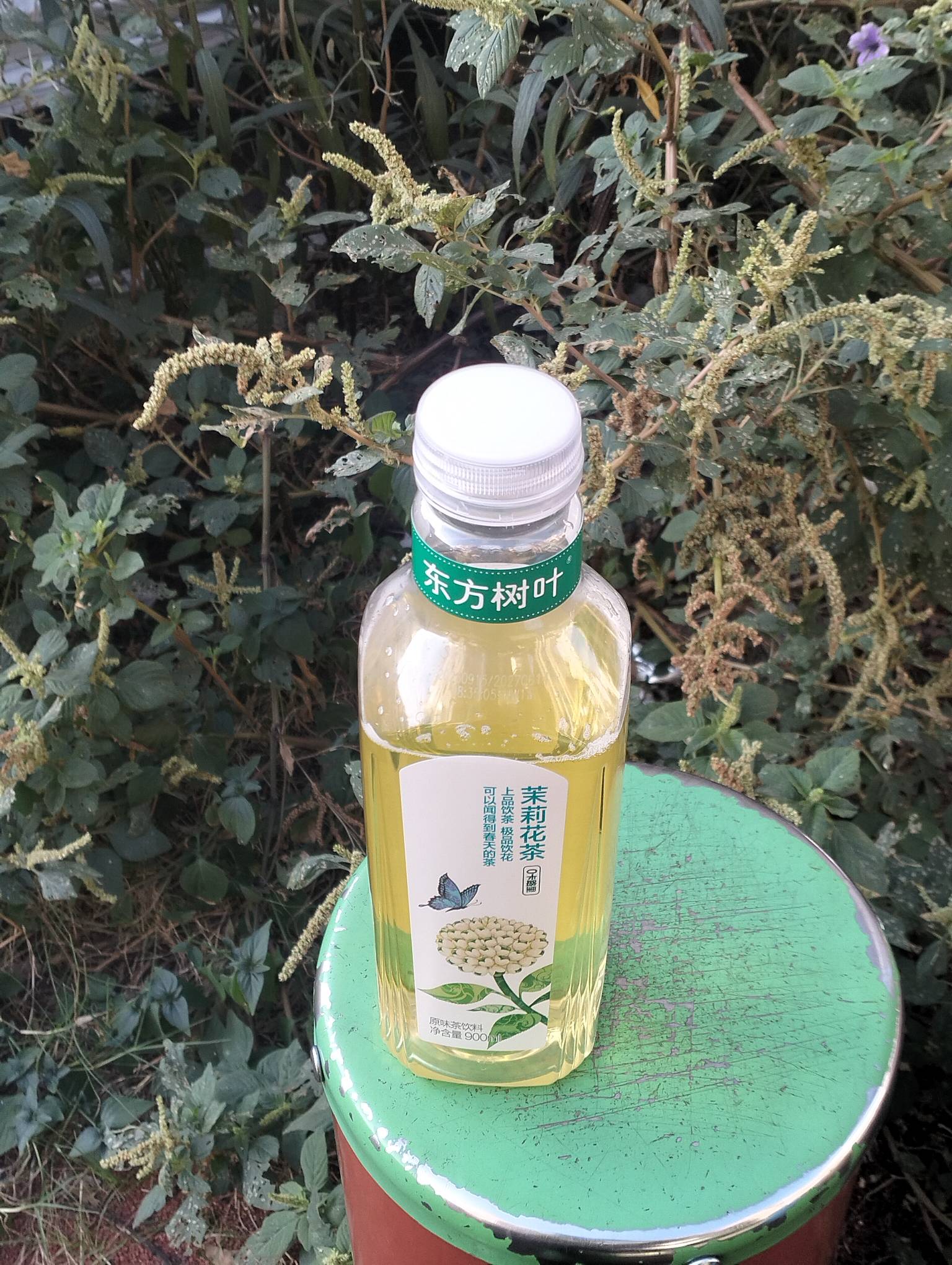 今天就录了一瓶挂壁水，烟钱饭钱没着落啊

32 / 作者:尛•牛•氓 / 