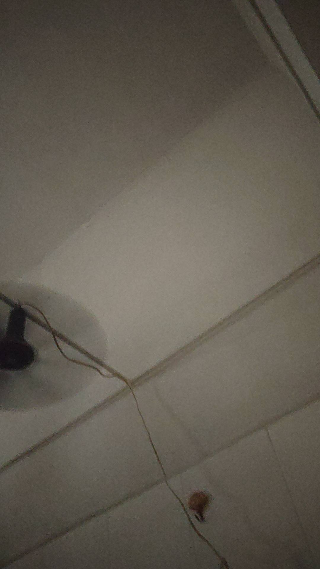 真羡慕能中同程的，抽了四个号一个没中，我也想免费住一晚大酒店

44 / 作者:来卡农撸羊毛的 / 