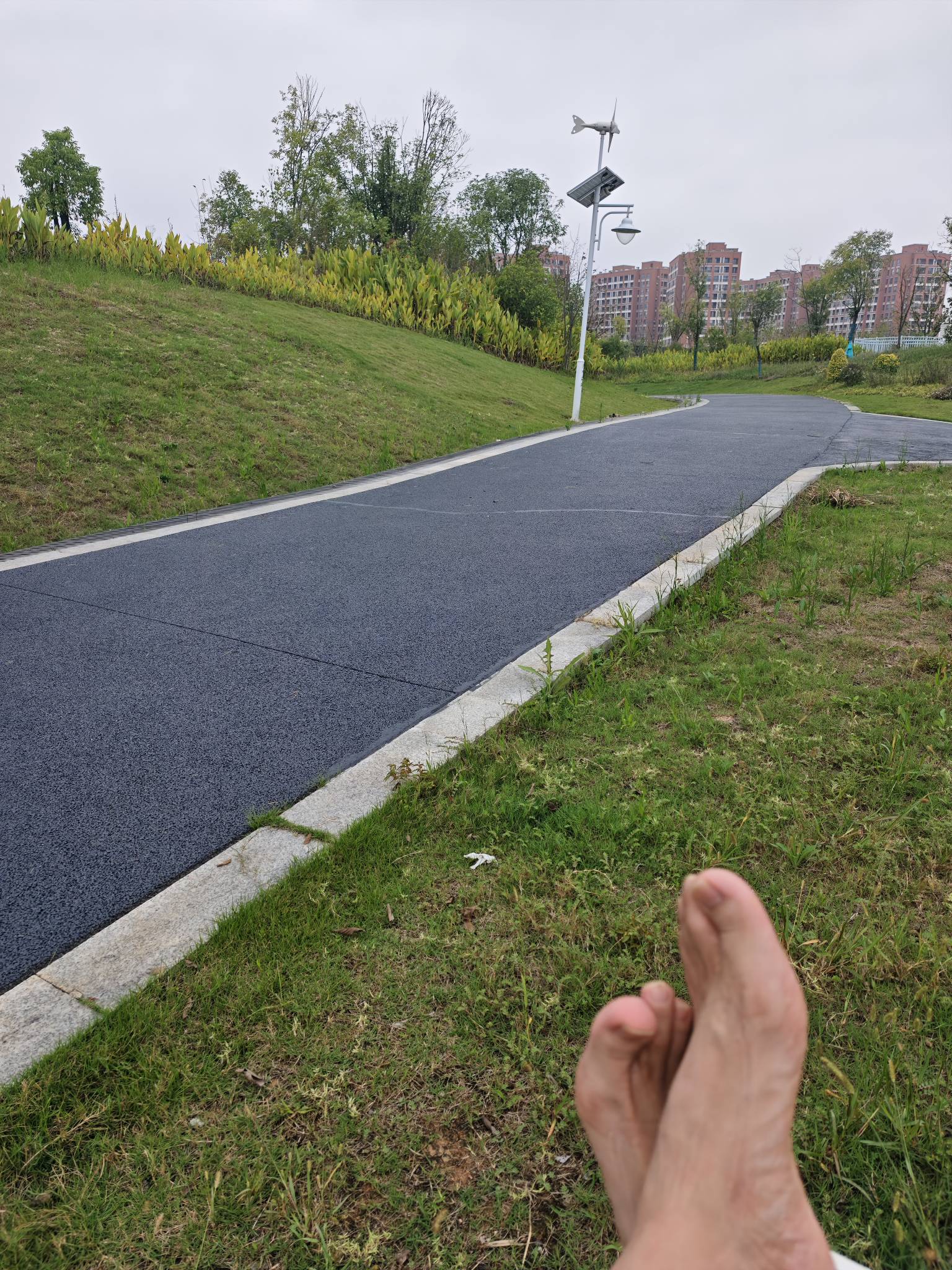 国庆网吧趟几天，灭办法 住宿太贵 顶不住
24 / 作者:红菜苔 / 
