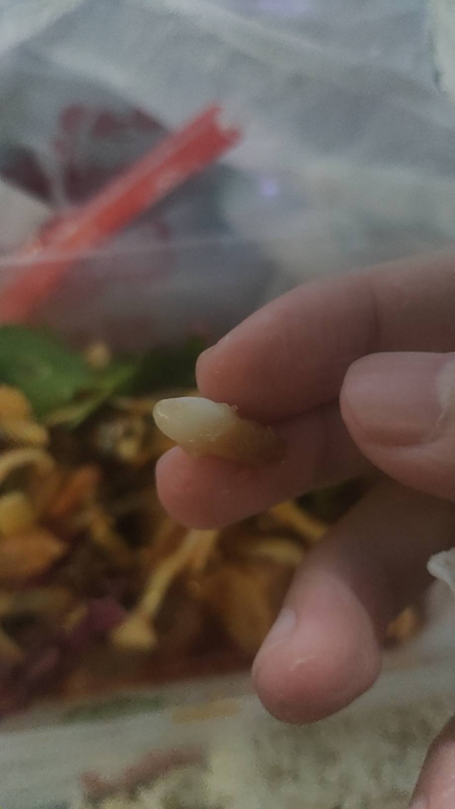 老哥们这颗牙是猪牙么？我咋看着像人的牙齿

3 / 作者:金美庭 / 