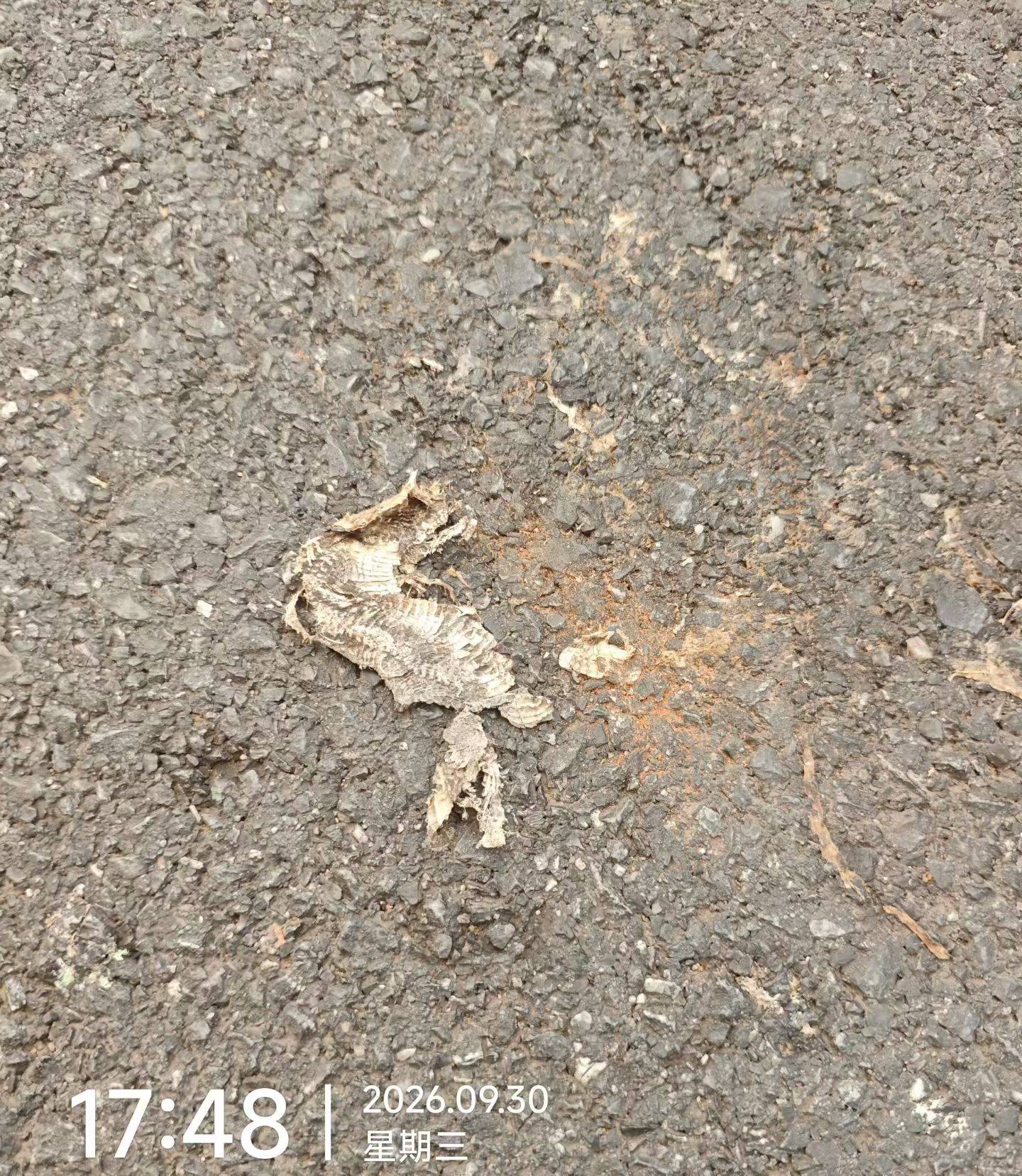 在酒店做日结认识的一个福建人，开始感觉很正常，后面跟有精神病一样。
先是去盒马买87 / 作者:东八区大佬 / 