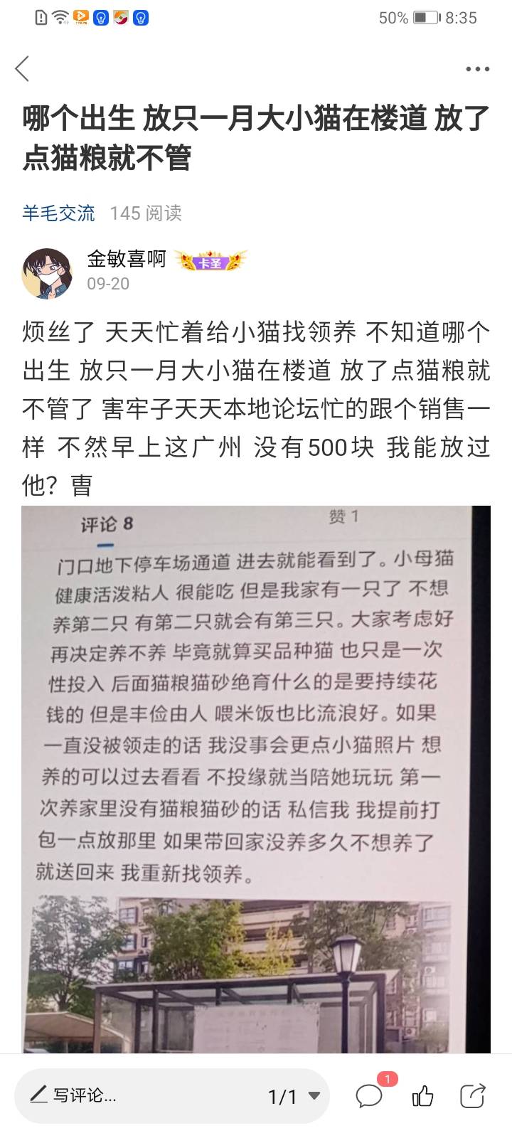 那天我评论让他买20来块钱一袋4斤的网易严选 还不愿意呢 流浪猫有的吃都不错了 天天自20 / 作者:金敏喜啊 / 
