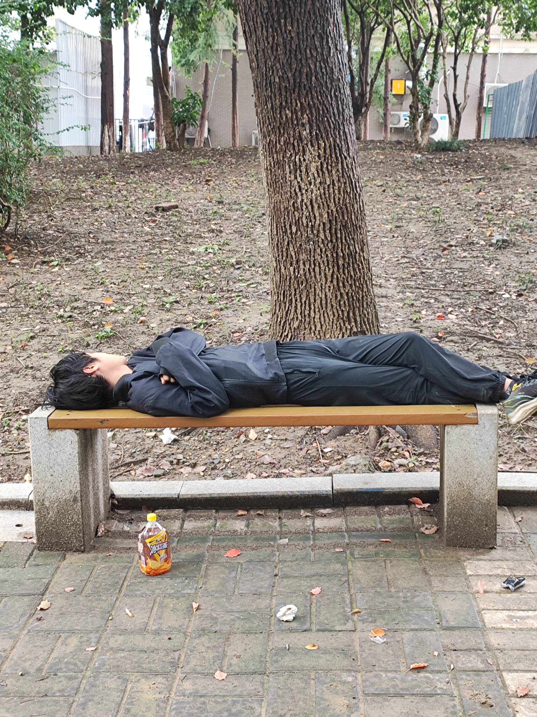 睡得真香，羡慕

40 / 作者:摇摆的苏丹 / 