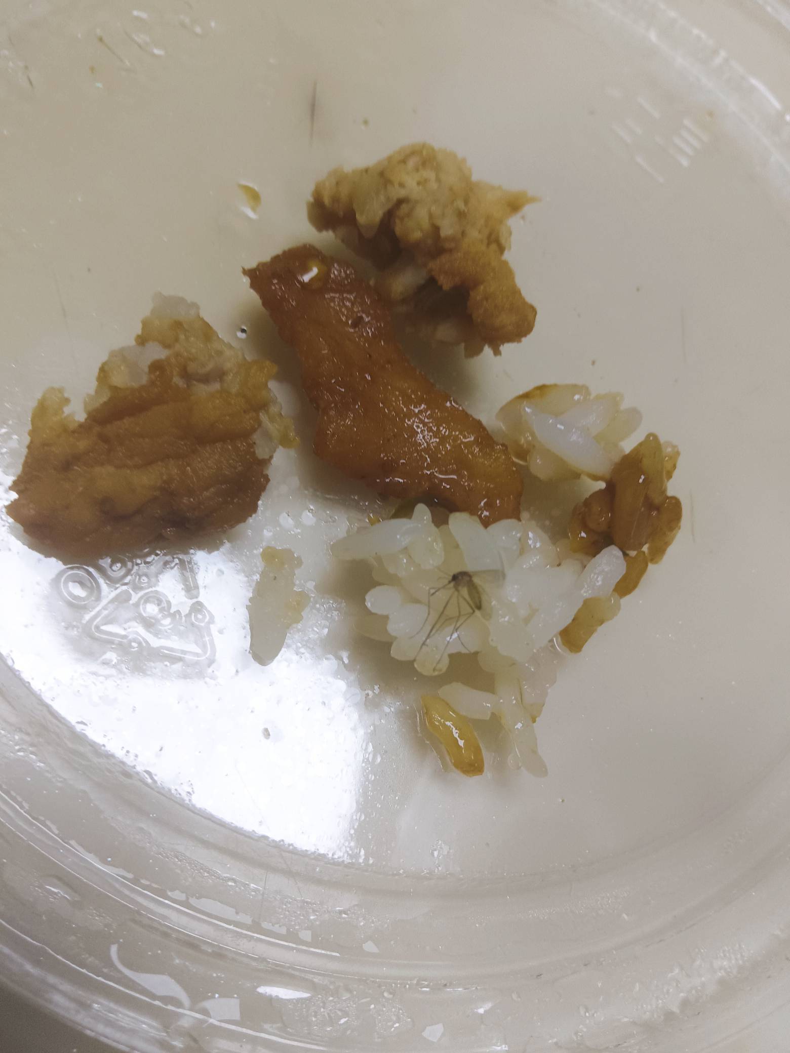 申请了45 10＋10加25 点外卖成本16 原因是吃出蚊子了



20 / 作者:Muzcc / 