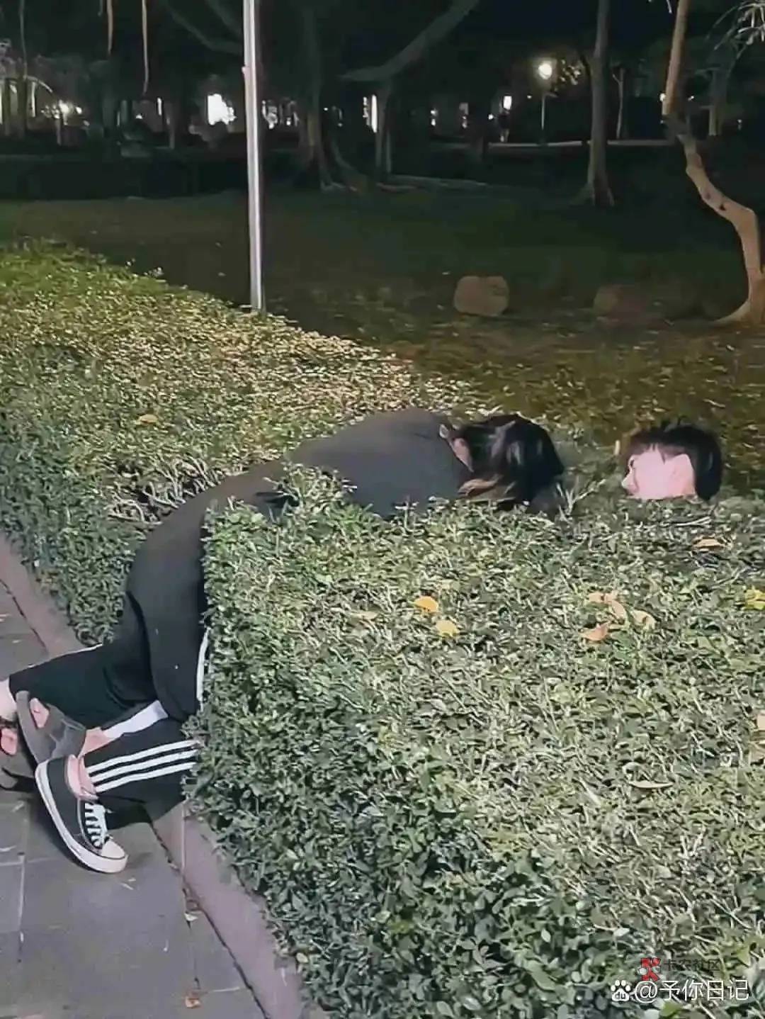 少熬夜，白天再鲁毛吧老哥们



26 / 作者:天桥下面好冷 / 