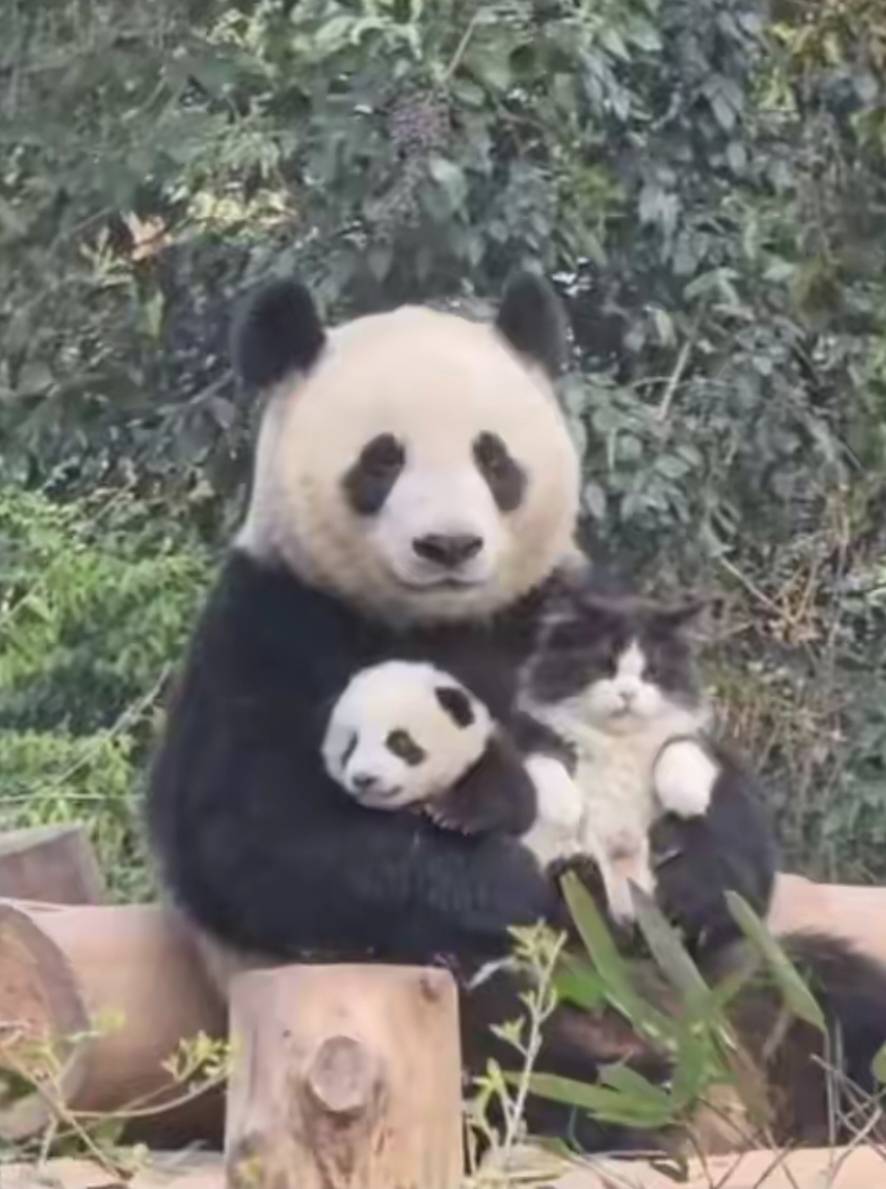 心里通透些了，还了5k催的紧的人情债，还是手里没钱，跟老哥们挤破头抢几毛几毛时间过81 / 作者:狗蛋大兵 / 