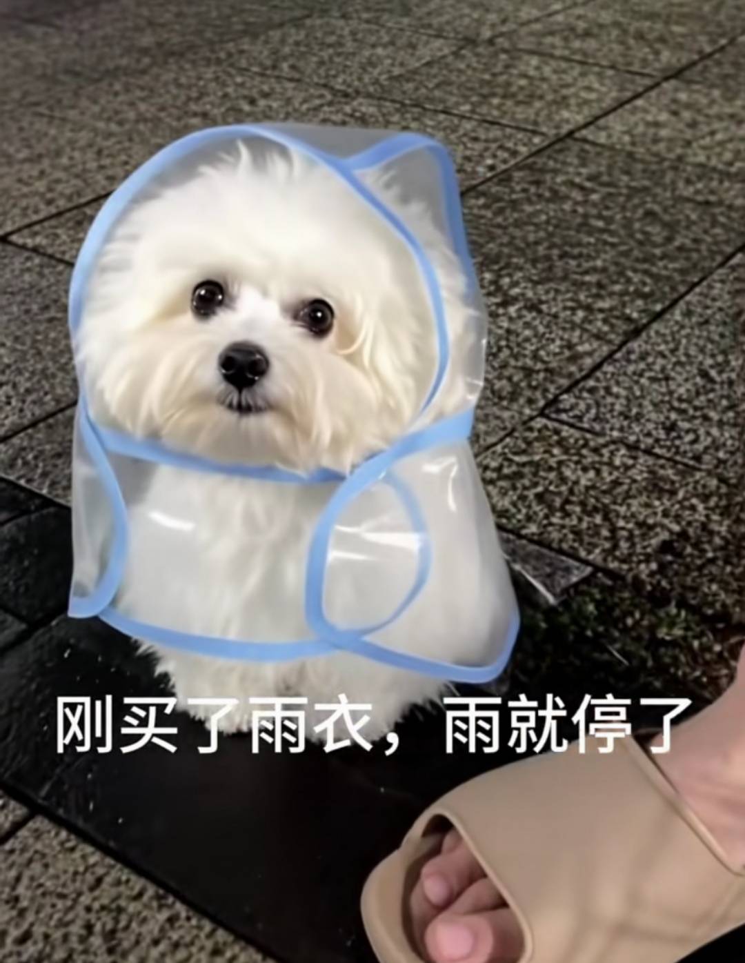 带女娃儿，要18.8w彩礼。。。我天塌了，身上还有一百块，没脸再给她画大饼了

6 / 作者:卡农~南同学 / 