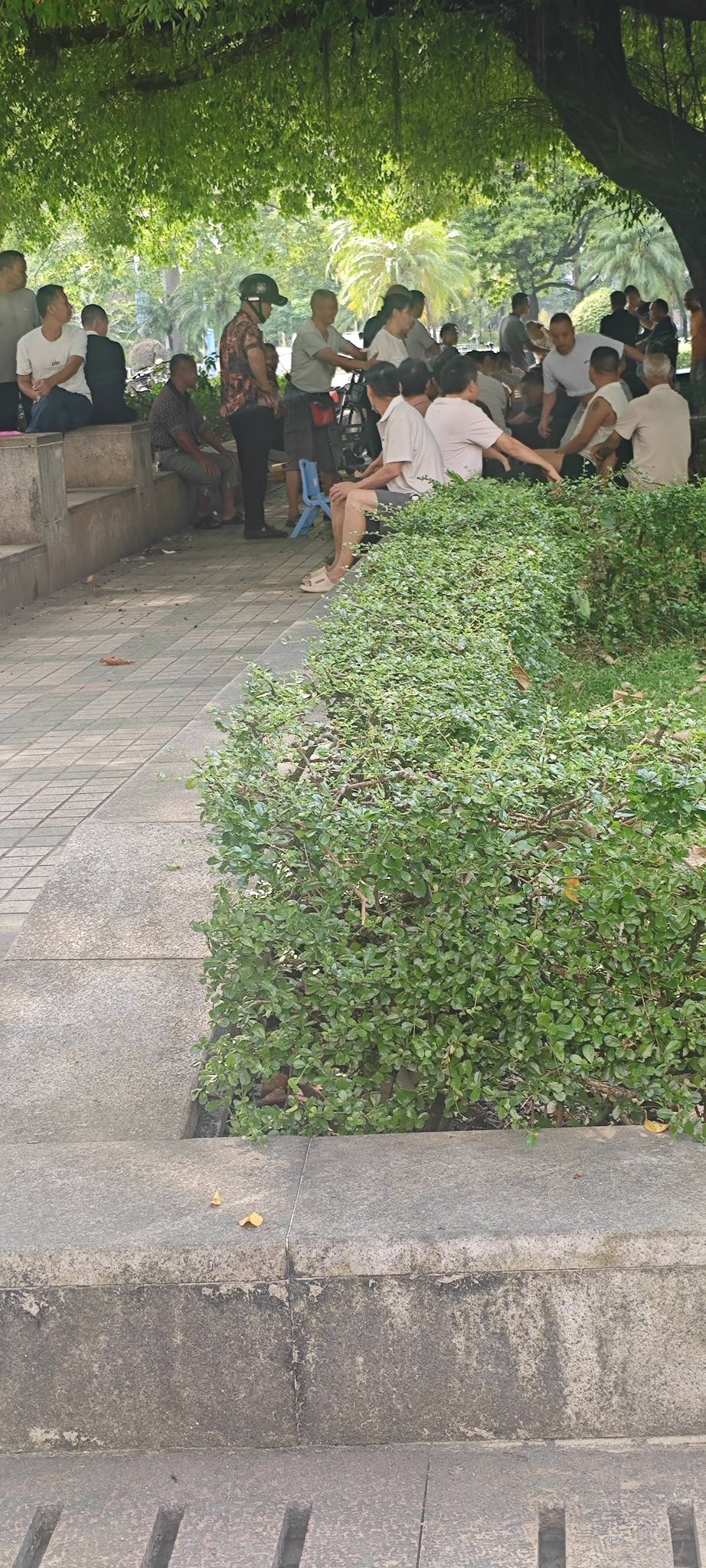 这么多男的围着一个女的，都是上了年纪的，这难道就是挂壁老苟的意思？

75 / 作者:卡农豆包 / 