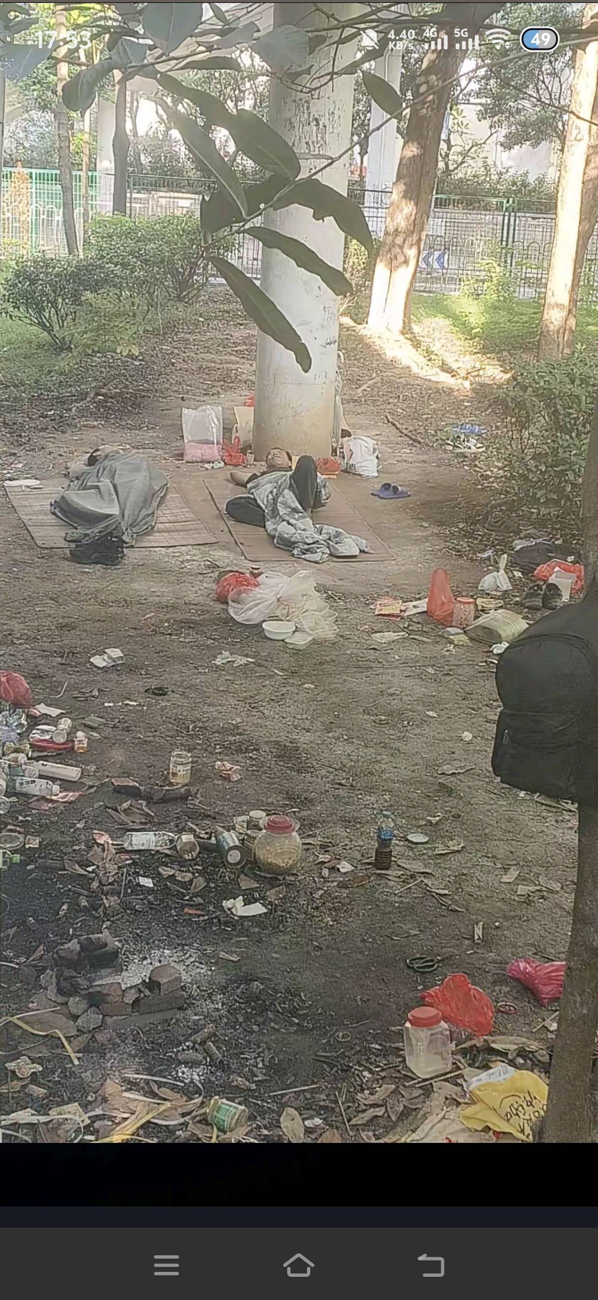 这是宵边那个老哥？大白天在哪睡觉。被我拍到了

27 / 作者:挂比了救我鸭 / 