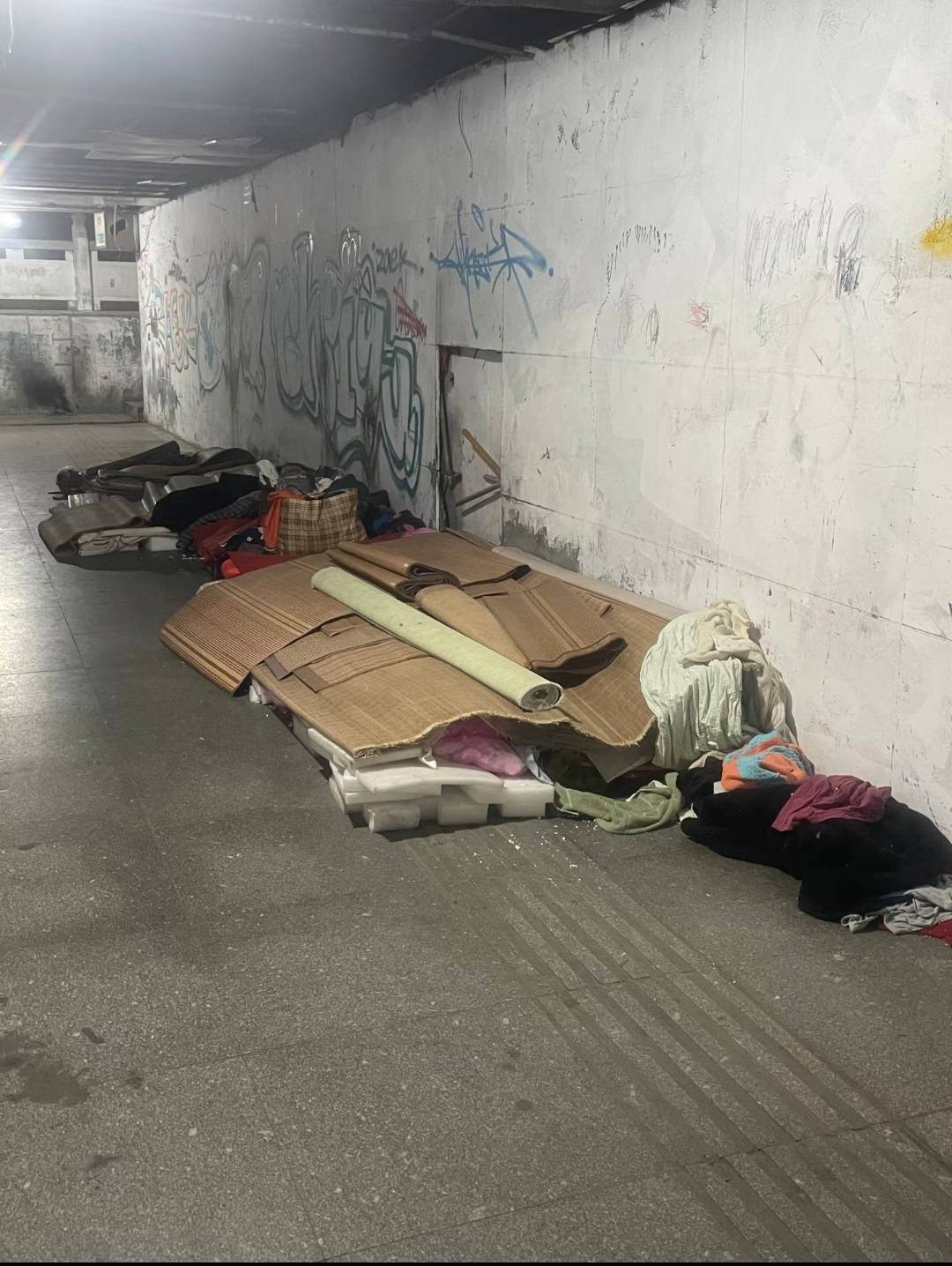为什么要这么对我  江苏大妈你为什么在我最挂壁的时候不给我更新任务  非要我在桥洞里66 / 作者:人到万难需放胆 / 