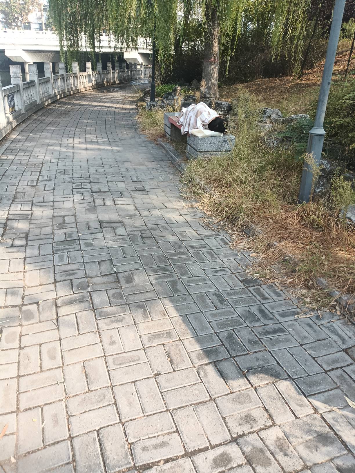 这人牛批，我们这里晚上都10℃左右了。体感温度感觉5.6℃。最起码在这里半个来月了。
36 / 作者:mmmmkbh / 