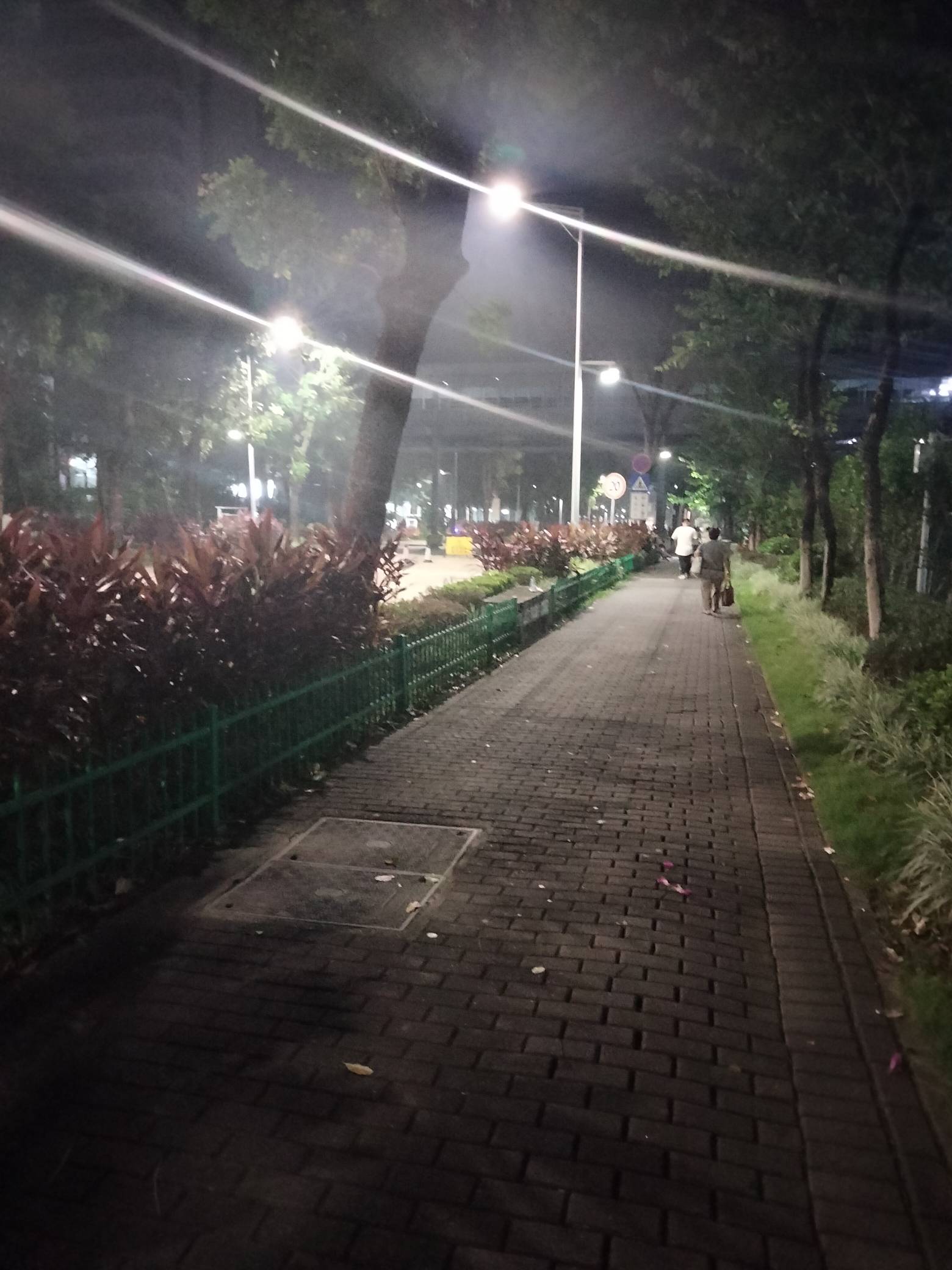 下班了，最美的夜色，只留给努力活着赶路的人

76 / 作者:君子之交淡如水 / 