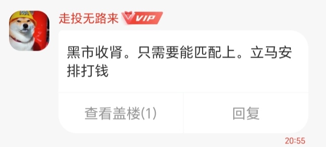 海欧上面啥任务都有，一趟20万，要不要去呢


70 / 作者:爱琴海岸的哥 / 