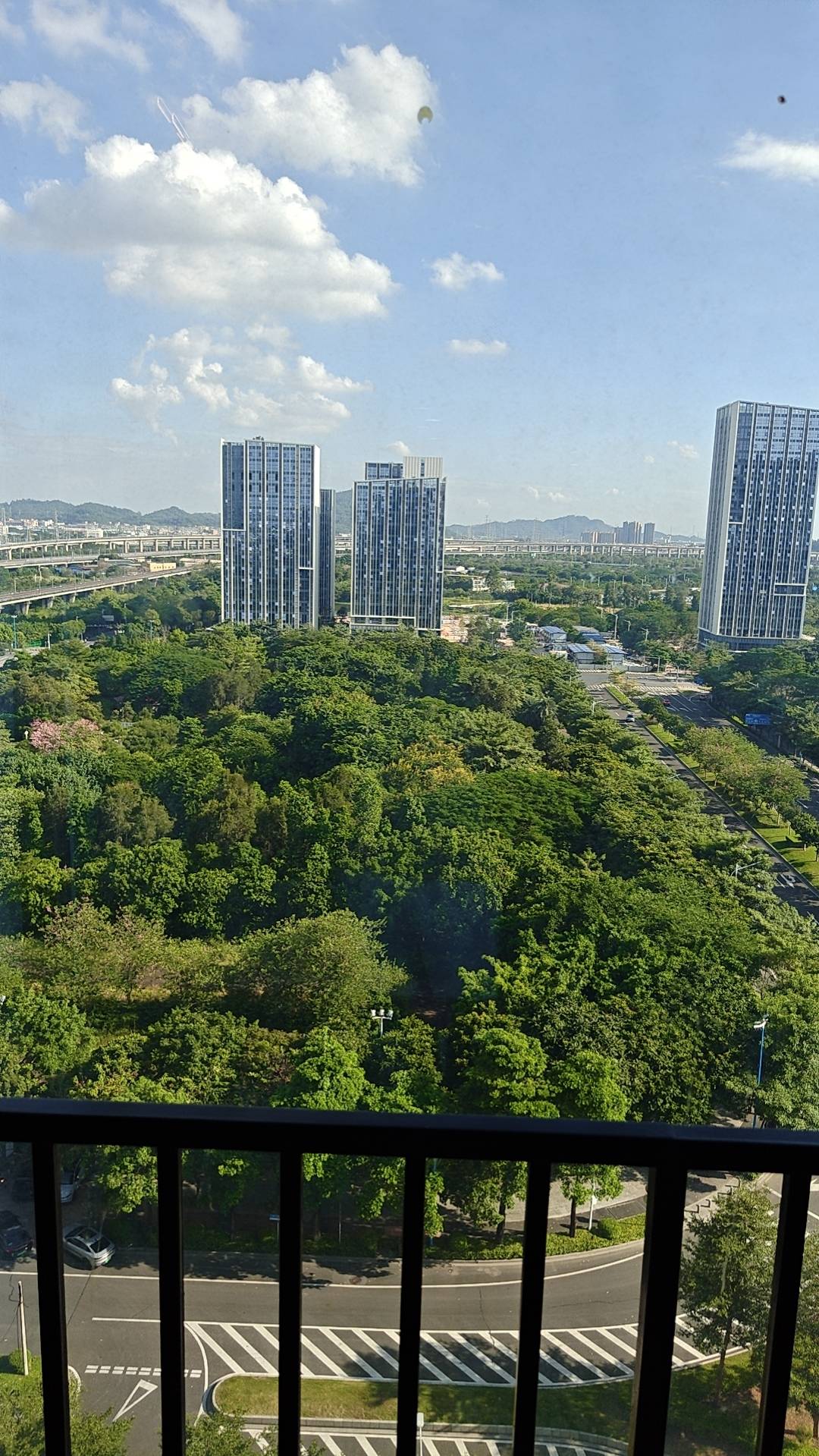感觉自己没救了，这几天有3次机会，最后还是瘫痪在广州南站。像我这样的人，要怎样改19 / 作者:逆流的猫 / 