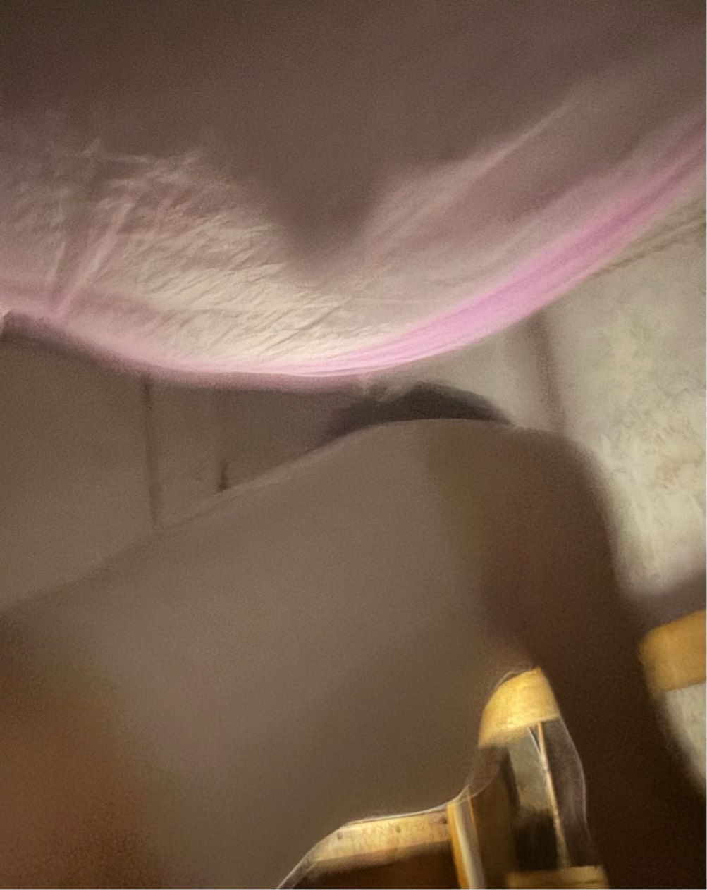 女友睡不着半夜又来找我，腿都麻了

27 / 作者:哈哈哈笑死我了 / 