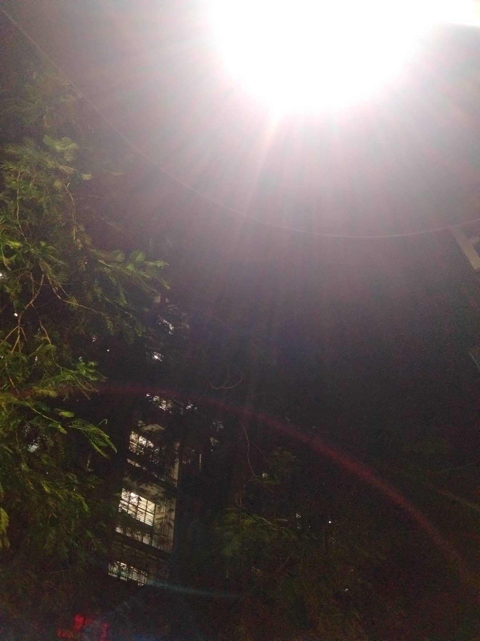 老哥你们都盖被打呼噜了吧？我还在上夜班，难熬的夜班，出来喝口水透透气





49 / 作者:君子之交淡如水 / 