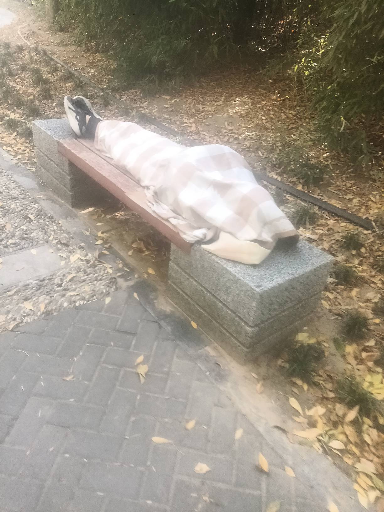 这老哥这个姿势从早晨一直这个姿势，到现在还是这个姿势。真怕他给我们冻死了。刚才假50 / 作者:mmmmkbh / 