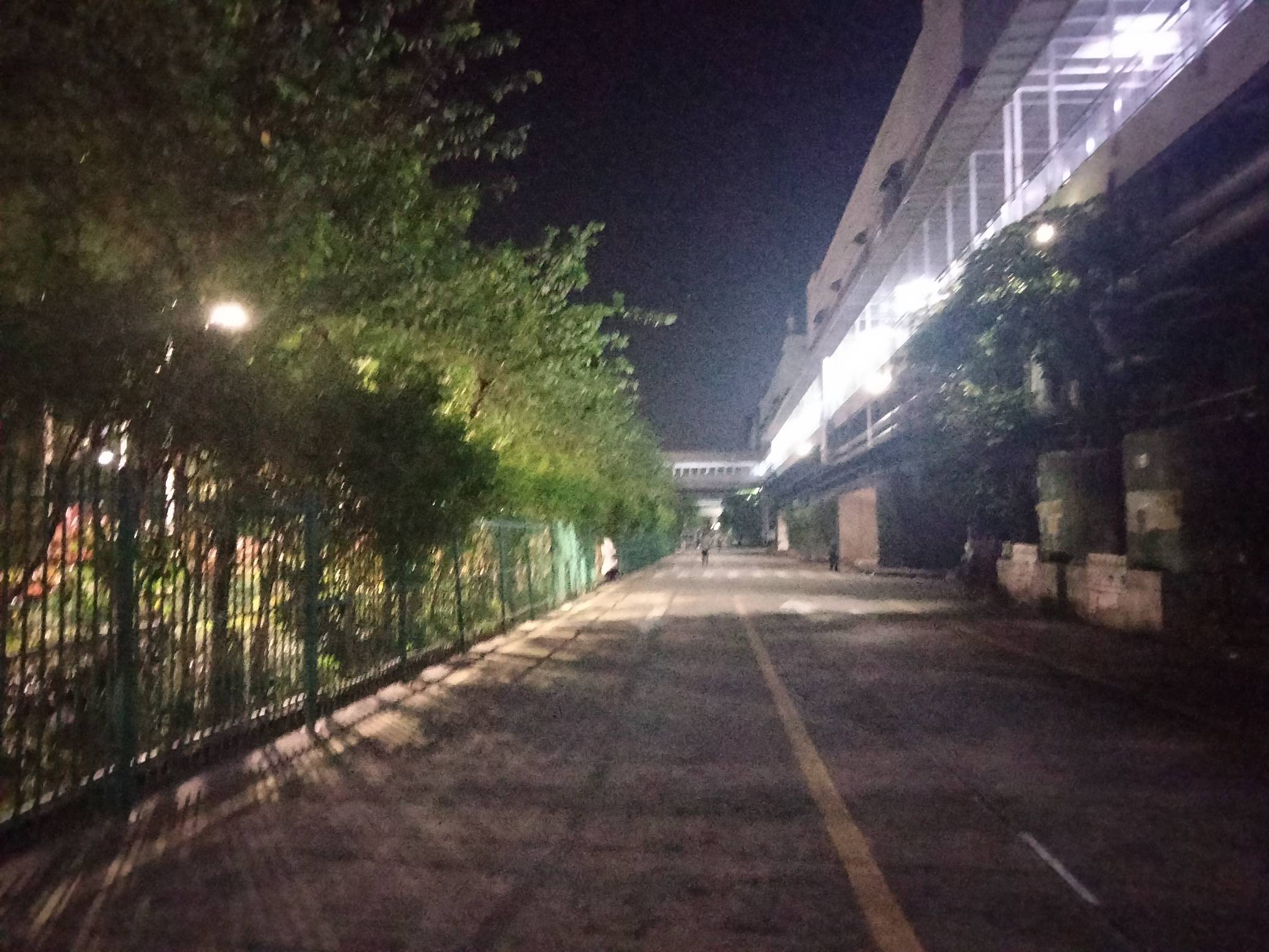 下班了，你见过早晨5点钟的风景？美不胜收


29 / 作者:君子之交淡如水 / 