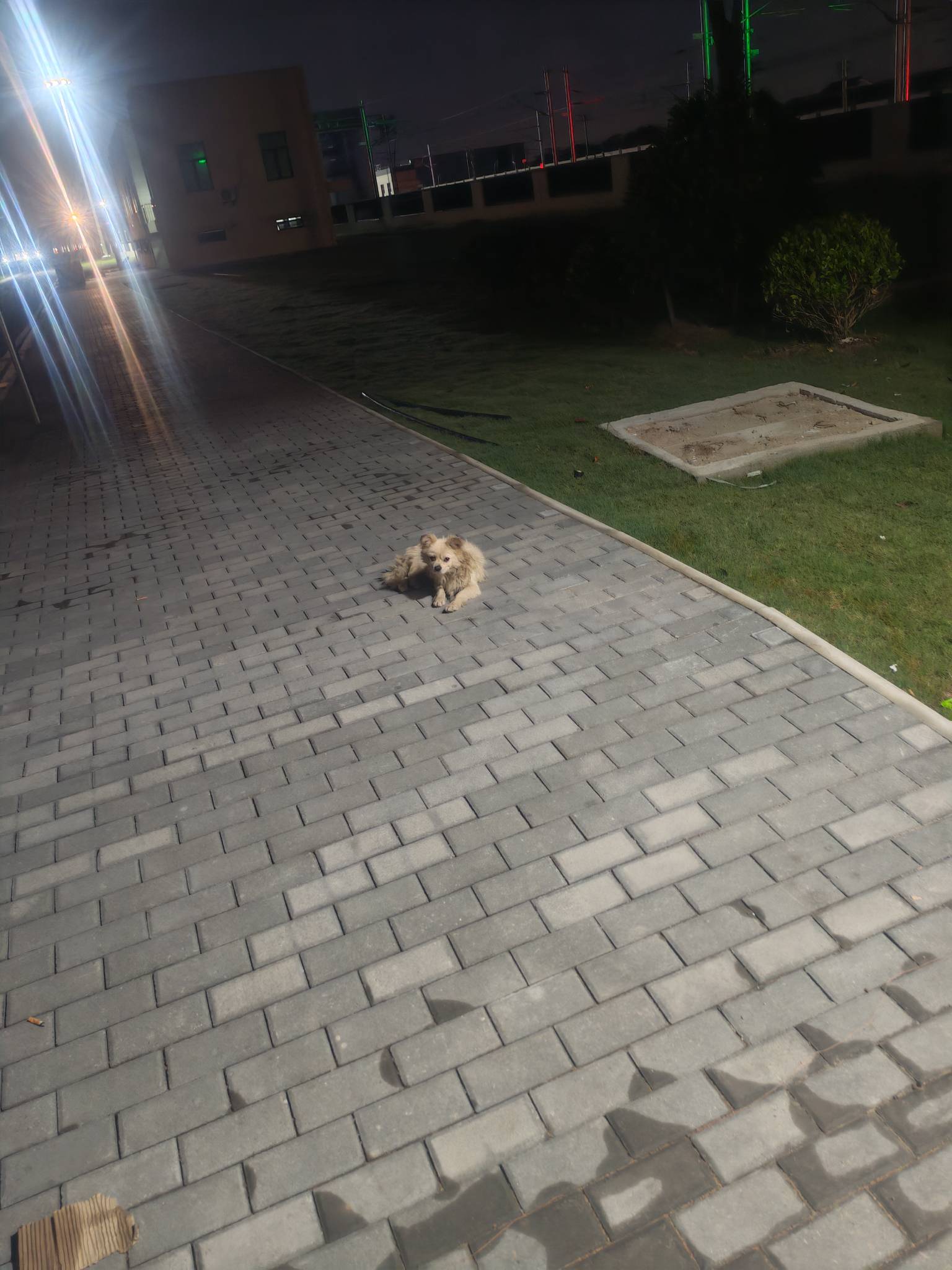 不太理解，刚刚看到真的有老哥连住的地方都没有吗？为什么会到这种地步，我09年的，从74 / 作者:暴打小可耐 / 