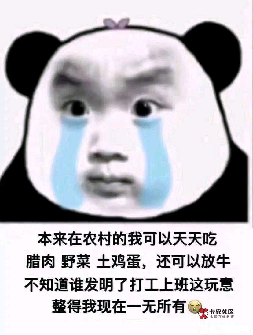 横琴有中奖的联系了吗？还是说非要买保险才能兑奖8000豆子40大毛啊，问客服说是两天内19 / 作者:活着为了鲁毛 / 