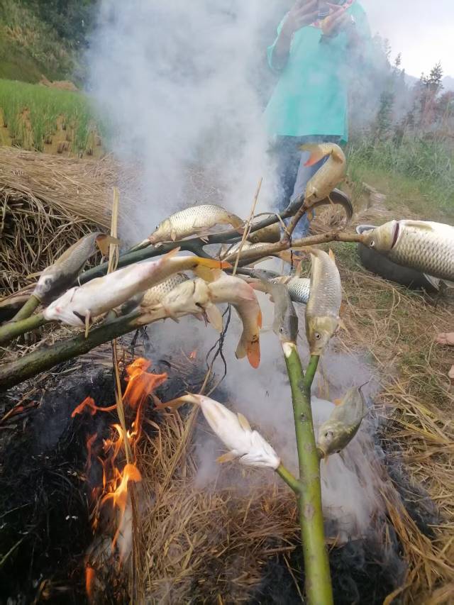 吃烤鱼了？


64 / 作者:风中之神-聂风 / 